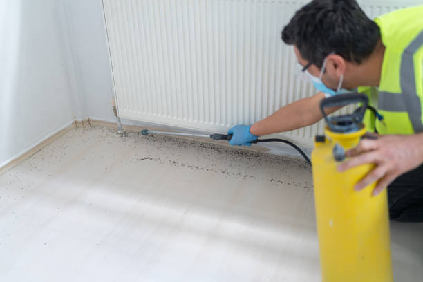 Best Pest Control for Businesses  in Loop, PA
